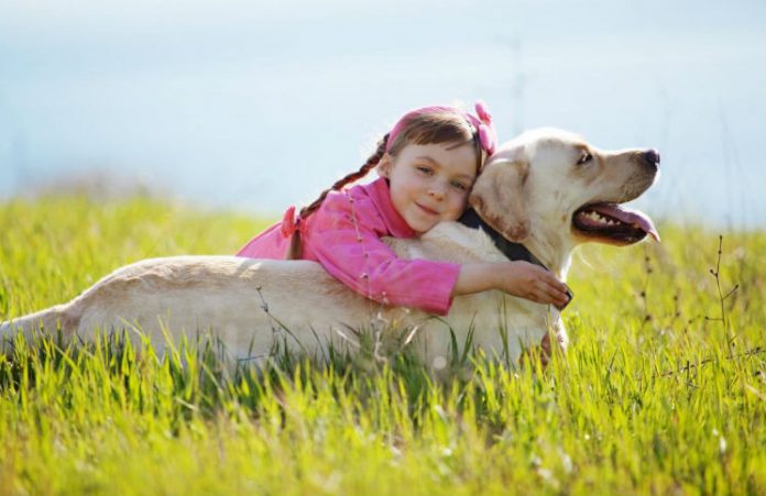 Hunder kan hjelpe barn å bli kvitta astma